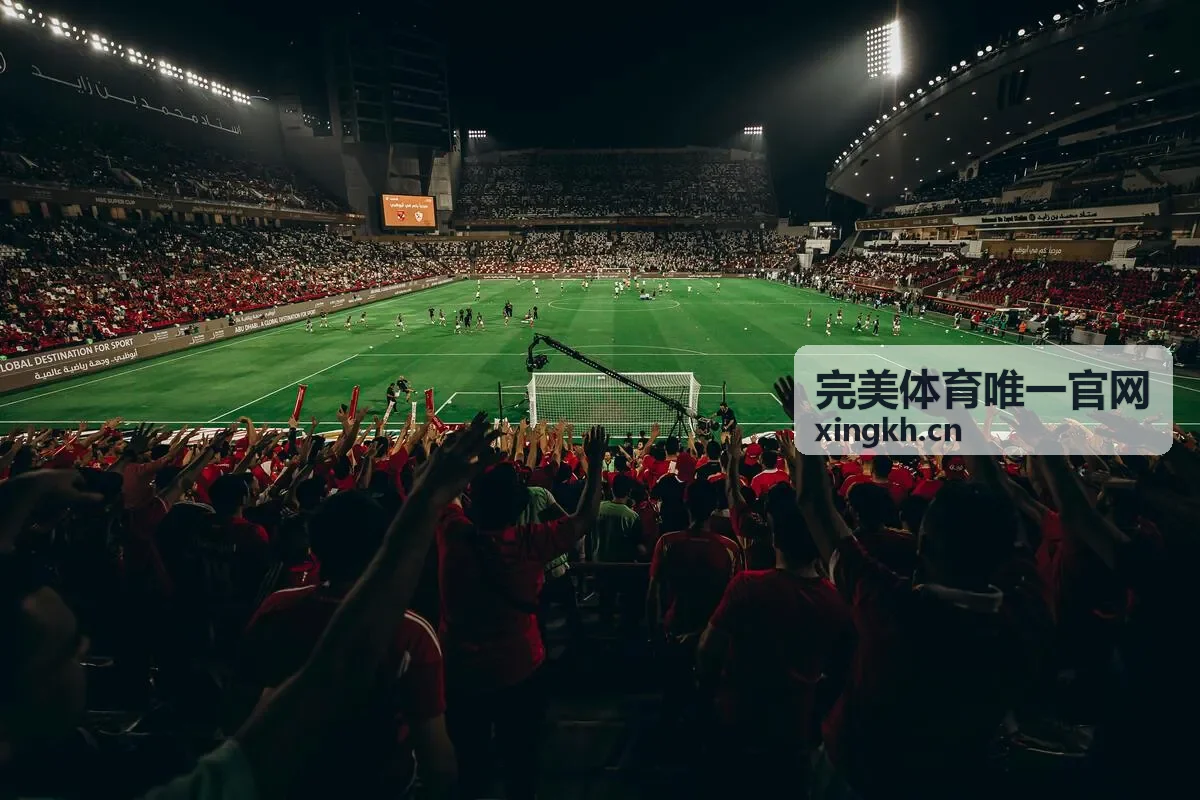 完美体育活动现场观众席与比赛场地