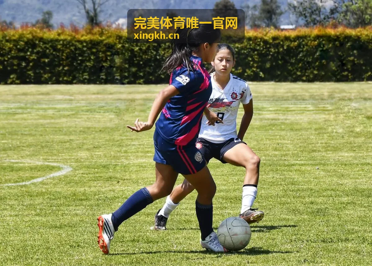 完美体育赛事场馆入口与观众动线图